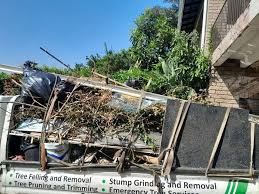 Best Recycling Services for Junk  in Kula, HI